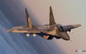 Phi công nhảy dù, tiêm kích MiG-29 Ba Lan mất tích trên không