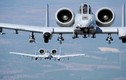 Không quân Mỹ "cắn răng" dùng tiếp cường kích cơ 41 năm tuổi