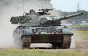 Hạ giá chạm đáy, Canada vẫn không thể bán nổi xe tăng Leopard