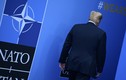 NATO và mối đe doạ sống còn từ Tổng thống Trump