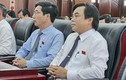 Tân Giám đốc Sở TN và MT Đà Nẵng được bổ nhiệm khi chưa đủ tiêu chuẩn? 