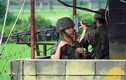 Hai miền Triều Tiên rút binh sỹ khỏi các trạm gác biên giới