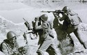 Liên Xô mất bao nhiêu quân trong cuộc chiến tranh Afghanistan?