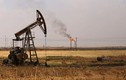 Tung đòn hiểm, Mỹ quyết “xí phần” toàn bộ dầu mỏ ở Syria