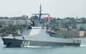 Việt Nam có tiếp cận được tàu tuần tra trang bị khủng Đề án 22160 của Nga?