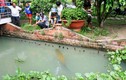 Người đàn ông Tây Ninh nuôi “thủy quái” trong vườn nhà