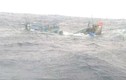Bị tàu hàng nước ngoài đâm chìm, 7 ngư dân mất tích