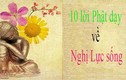 10 lời Phật dạy sẽ mang lại “nghị lực” cho bất kì ai 