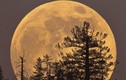 Siêu trăng lớn nhất 70 năm ở Việt Nam cực đại lúc mấy giờ?