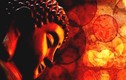 Phật dạy: 7 việc không đáng để “hi sinh” trong đời