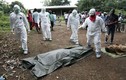 Nguy cơ bùng phát dịch bệnh Ebola ở CHDC Congo
