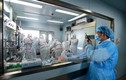 Trung Quốc phát hiện một cặp vợ chồng cùng nhiễm virus H7N9