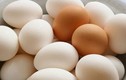 Thế nào mới được gọi là trứng sạch?   