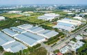 Giá thuê đất công nghiệp tại TP HCM, Hà Nội cao gấp đôi tỉnh lân cận