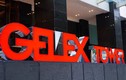 Gelex phát hành 8 triệu cổ phiếu, không chia cổ tức năm 2023 