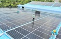 Doanh thu lớn nhưng lợi nhuận mỏng, Solar Cons giảm mạnh tài sản