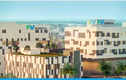 Trước khi về tay Thomson Medical, Bệnh viện FV kinh doanh ra sao?