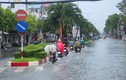 Bạc Liêu: Gói thầu nâng cấp đường Trần Phú hơn 37 tỷ về tay Cty Truyền Phát 