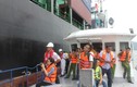 Khám tàu Singapore đâm chìm tàu cá ở Vũng Tàu