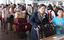 Sân bay TSN  “nghẹt thở” đón kiều bào về quê ăn Tết