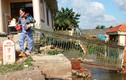 Hình ảnh tan hoang vụ sạt lở nghiêm trọng ven sông Sài Gòn