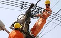 Điện lực TP HCM phản hồi việc “lãng phí nhân viên thu tiền”