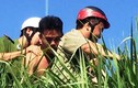 CSGT bị tấn công nghiêm trọng ở cửa ngõ Sài Gòn