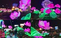 Ngắm lần cuối vòng xoay chợ Bến Thành rực rỡ Tết Đinh Dậu 2017