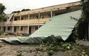Mưa dông kinh hoàng ở Sài Gòn: Cây đổ, đường ngập, bay mái nhà