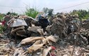 TP HCM: Công ty Bắc Nam chôn lấp hàng nghìn tấn chất thải vi phạm pháp luật?