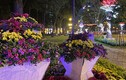 Cảnh lộng lẫy đèn hoa đón chào 2020 ở trung tâm Sài Gòn