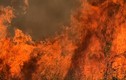 “Tỷ phú khu đất 77 tỷ cúng động thổ” gây cháy lớn giữa KDC