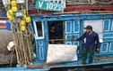 Tàu vỏ thép Trung Quốc tông thẳng vào tàu cá Việt Nam