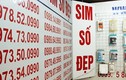 Sim “siêu đẹp” 9 con 8 sẽ được đấu giá