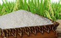 Mua gạo hữu cơ ở đâu, loại nào có chứng nhận đảm bảo?
