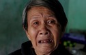Chùm ảnh: Tang thương vùng lũ Phú Yên