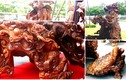 Chiêm ngưỡng đồ gỗ quý ngàn tuổi của đại gia Việt