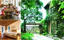 Những ngôi nhà vườn đẹp ngất ngây ở ngoại thành Hà Nội