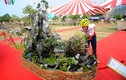 Bộ cây cảnh đẹp như “Việt Bắc thu nhỏ” giá trăm triệu 