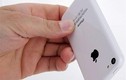 iPhone 5C bị chê tệ hại nhất lịch sử Apple