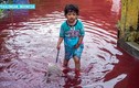 Sự thật về "dòng sông máu" làm ngập ngôi làng ở Indonesia