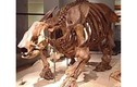 Phát hiện hóa thạch con lười khổng lồ to như con voi