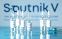 Vaccine Sputnik V đóng ống tại Việt Nam đạt tiêu chuẩn chất lượng