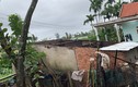 Lốc xoáy tốc mái hơn 50 ngôi nhà, cây cối đổ rạp ở Quảng Ngãi