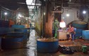 Cảnh tượng chưa từng có tại chợ cá Yên Sở dịp Tết 