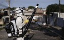 Brazil kêu gọi các nước Mỹ Latinh chung tay chống Zika