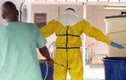 Guinea liên tục có người chết vì Ebola