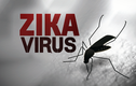 Những điều cần biết về loài muỗi truyền virus Zika 