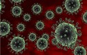 Triệu chứng nhiễm cúm A/H5N1 nguy hiểm