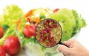 Thực phẩm bẩn “tàn phá” sức khỏe thế nào?